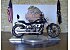 2025 Harley-Davidson Softail