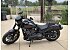 2025 Harley-Davidson Softail Low Rider S