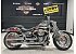 2025 Harley-Davidson Softail Gray Ghost