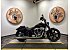 2025 Harley-Davidson Softail