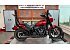 2025 Harley-Davidson Softail Low Rider S