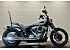 2025 Harley-Davidson Softail Street Bob