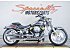 2025 Harley-Davidson Softail Gray Ghost