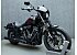 2025 Harley-Davidson Softail Low Rider S