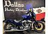 2025 Harley-Davidson Softail Street Bob