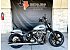 2025 Harley-Davidson Softail Street Bob