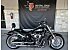 2025 Harley-Davidson Softail Fat Boy