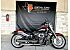 2025 Harley-Davidson Softail Fat Boy