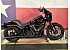 2025 Harley-Davidson Softail