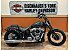 2025 Harley-Davidson Softail Street Bob