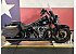 2025 Harley-Davidson Softail
