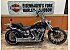 2025 Harley-Davidson Softail Breakout