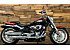 2025 Harley-Davidson Softail