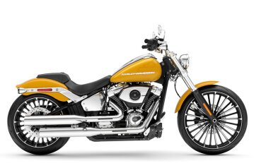 New 2025 Harley-Davidson Softail
