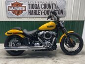 New 2025 Harley-Davidson Softail Street Bob