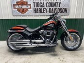 New 2025 Harley-Davidson Softail Fat Boy