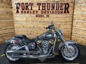 2025 Harley-Davidson Softail Gray Ghost