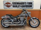 New 2025 Harley-Davidson Softail Gray Ghost