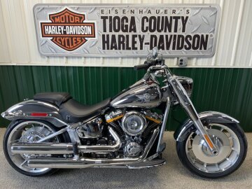 New 2025 Harley-Davidson Softail Gray Ghost