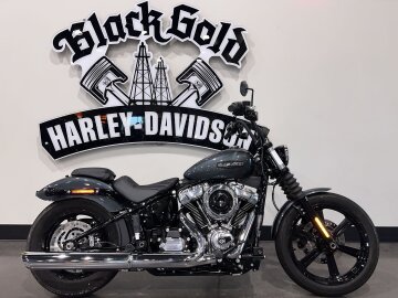 2025 Harley-Davidson Softail Street Bob
