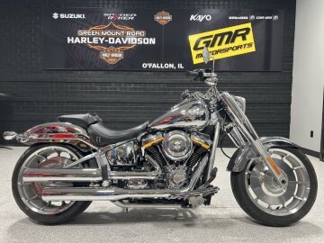 2025 Harley-Davidson Softail Gray Ghost