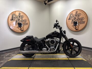 2025 Harley-Davidson Softail
