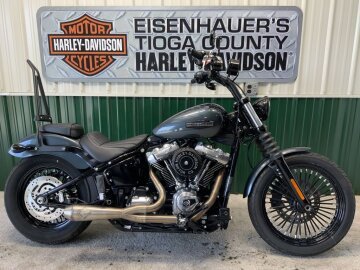 2025 Harley-Davidson Softail Street Bob