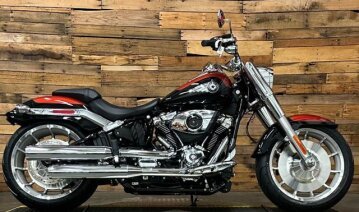 2025 Harley-Davidson Softail