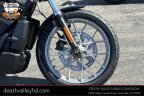 Thumbnail Photo 3 for 2025 Harley-Davidson Sportster