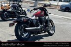 Thumbnail Photo 5 for 2025 Harley-Davidson Sportster