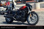 Thumbnail Photo 4 for 2025 Harley-Davidson Sportster
