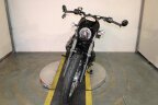Thumbnail Photo 4 for New 2025 Harley-Davidson Sportster Nightster Special