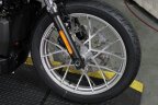 Thumbnail Photo 2 for New 2025 Harley-Davidson Sportster Nightster Special
