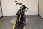 Thumbnail Photo 4 for New 2025 Harley-Davidson Sportster Nightster