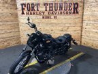 Thumbnail Photo 5 for 2025 Harley-Davidson Sportster Nightster Special
