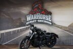 Thumbnail Photo 6 for New 2025 Harley-Davidson Sportster Nightster