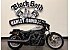 2025 Harley-Davidson Sportster Nightster Special