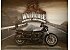 2025 Harley-Davidson Sportster Nightster Special