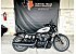 2025 Harley-Davidson Sportster Nightster Special