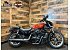 2025 Harley-Davidson Sportster Nightster Special
