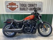 New 2025 Harley-Davidson Sportster Nightster Special