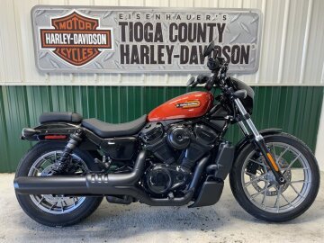 New 2025 Harley-Davidson Sportster Nightster Special