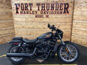 2025 Harley-Davidson Sportster Nightster Special