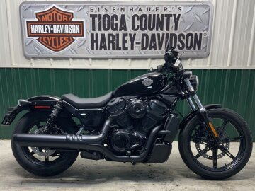New 2025 Harley-Davidson Sportster Nightster