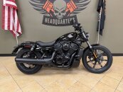 New 2025 Harley-Davidson Sportster Nightster