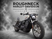 2025 Harley-Davidson Sportster