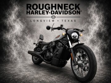 2025 Harley-Davidson Sportster