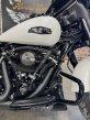 Thumbnail Photo 1 for New 2025 Harley-Davidson Touring Street Glide