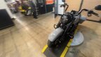 Thumbnail Photo 6 for 2025 Harley-Davidson Touring Road King Special
