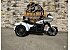 2025 Harley-Davidson Trike